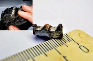 Ruota dentata di 300 milioni di anni fa