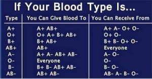 Tabella compatibilità sangue